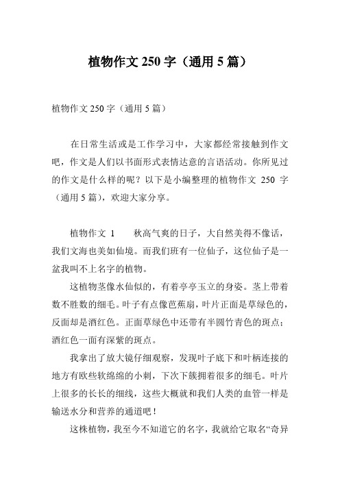 植物作文250字(通用5篇)