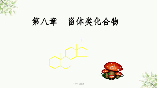 甾体类化合物课件