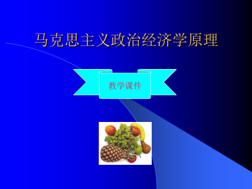 第一章劳动价值理论