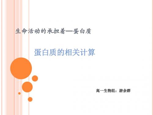 蛋白质的相关计算