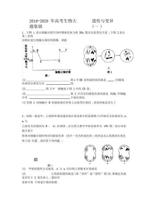 20192020年高考生物大题集锦——遗传与变异一0001