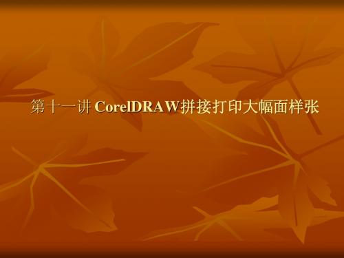 CorelDRAW平面设计-第十一讲(拼接打印大幅面样张)