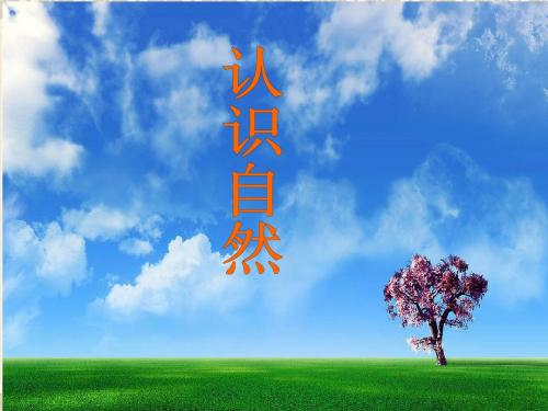 冀教版-小学三年级品德与社会《认识自然》课件ppt
