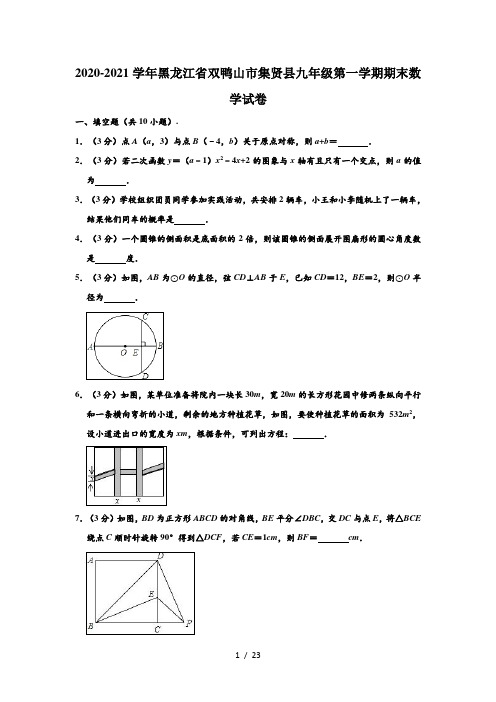 2020-2021学年黑龙江省双鸭山市集贤县九年级上学期期末数学试卷 (解析版)