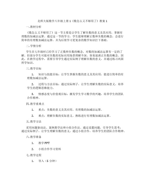 北师大版数学八年级上册1《数怎么又不够用了》教案1