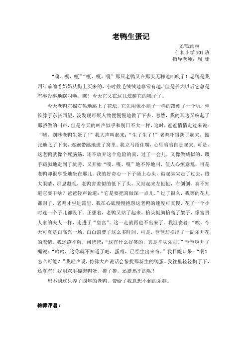 老鸭生蛋记
