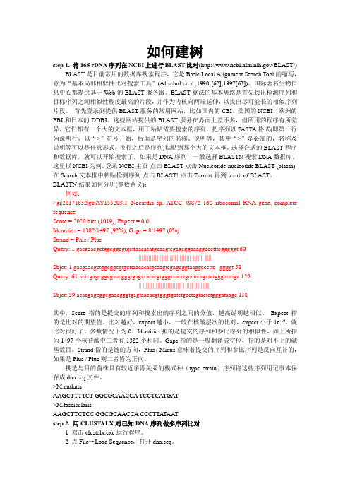 系统发育树构建步骤