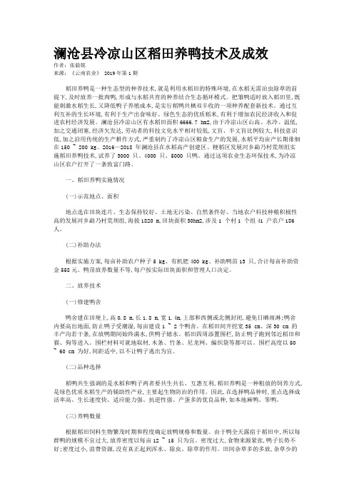 澜沧县冷凉山区稻田养鸭技术及成效 