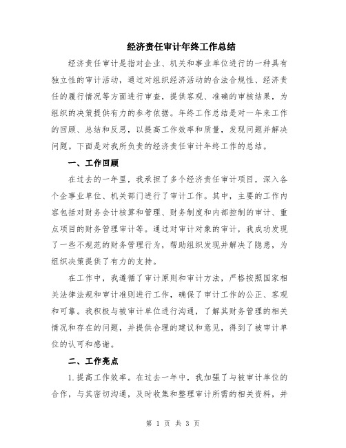 经济责任审计年终工作总结