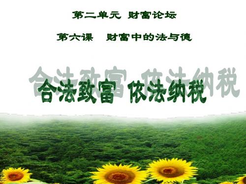 思想品德：第六课《财富中的法与德》课件(教科版九年级)