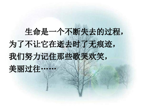 《项脊轩志》省优质课课件
