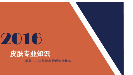 文文