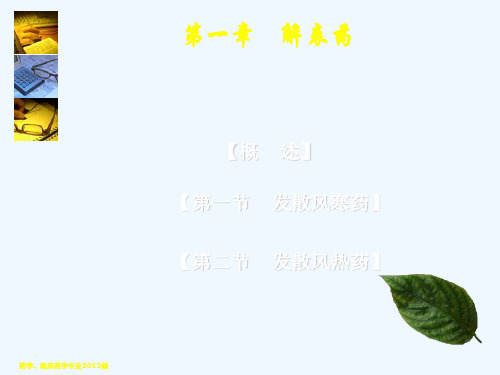 解表药(药学、临床药学)