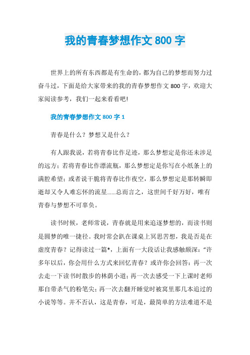 我的青春梦想作文800字