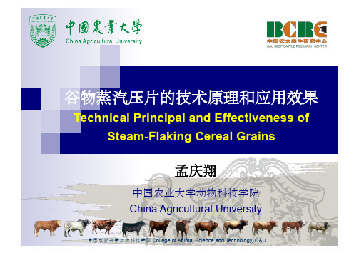 谷物蒸汽压片的技术原理和应用效果--中国农大孟庆翔