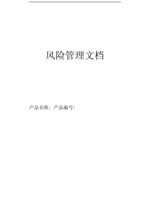 风险管理报告模板