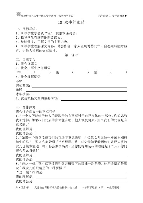 18 永生的眼睛 导学案