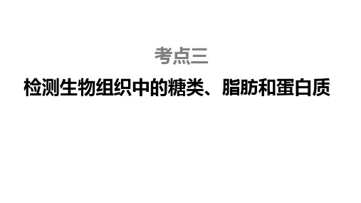 高三生物一轮复习课件检测生物组织中的糖类脂肪和蛋白质