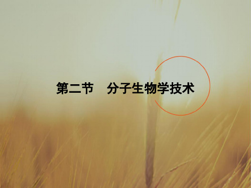 最新-2021学年高中生物选修1课件：第四章 生物化学与分子生物学技术实践 第4章 第2节 精品