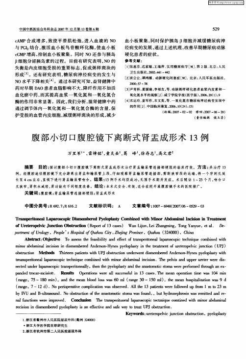 腹部小切口腹腔镜下离断式肾盂成形术13例