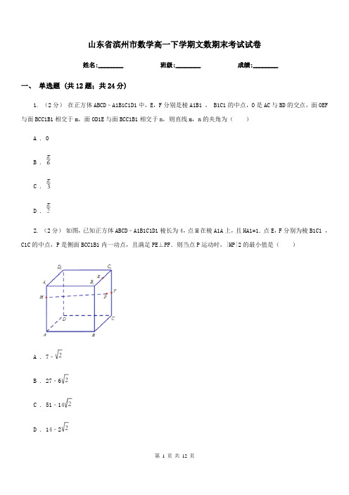 山东省滨州市数学高一下学期文数期末考试试卷