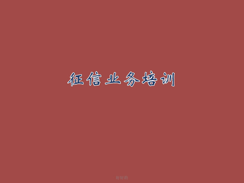 银行征信业务培训演示课件