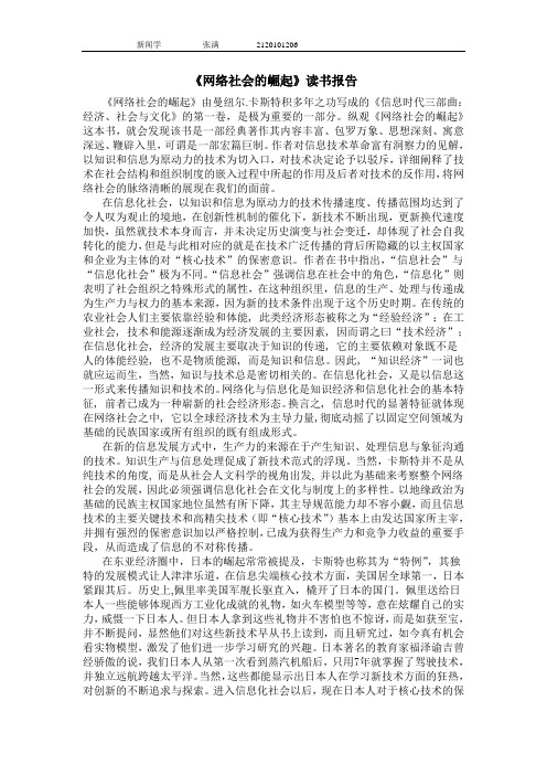 《网络社会的崛起》读书报告