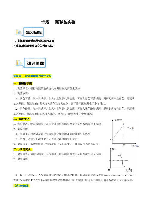 专题14酸碱盐实验-2023年中考化学重难点复习