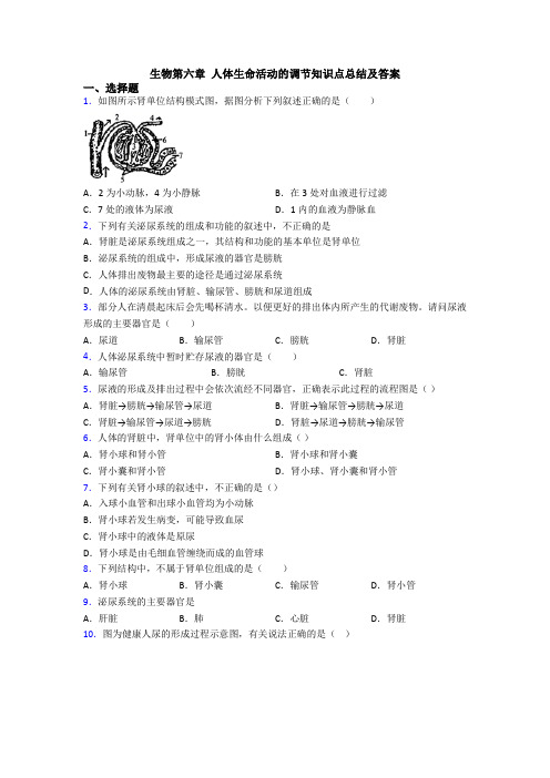 生物第六章 人体生命活动的调节知识点总结及答案