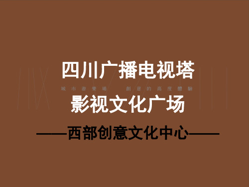 成都339项目定位策划实施计划方案