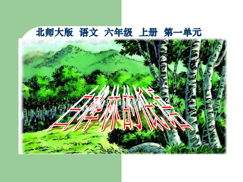 《白桦林的低语》PPT课件