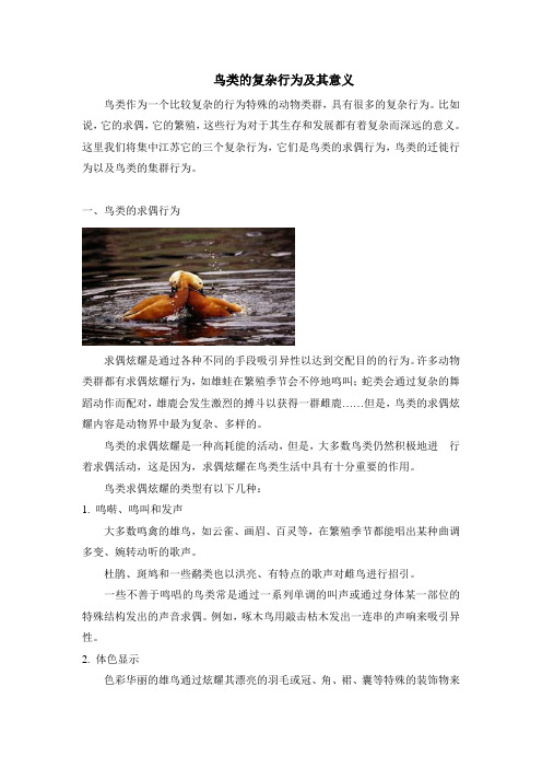鸟类的复杂行为及其意义