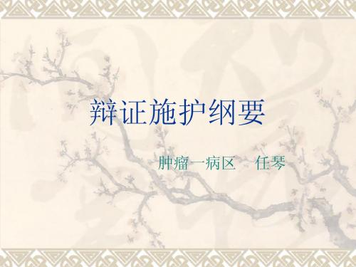 辩证施护纲要  任琴