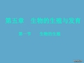 高二生物第五章生物的生殖和发育第一节生物的生殖课件