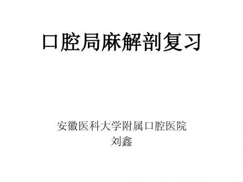 口腔局麻解剖复习
