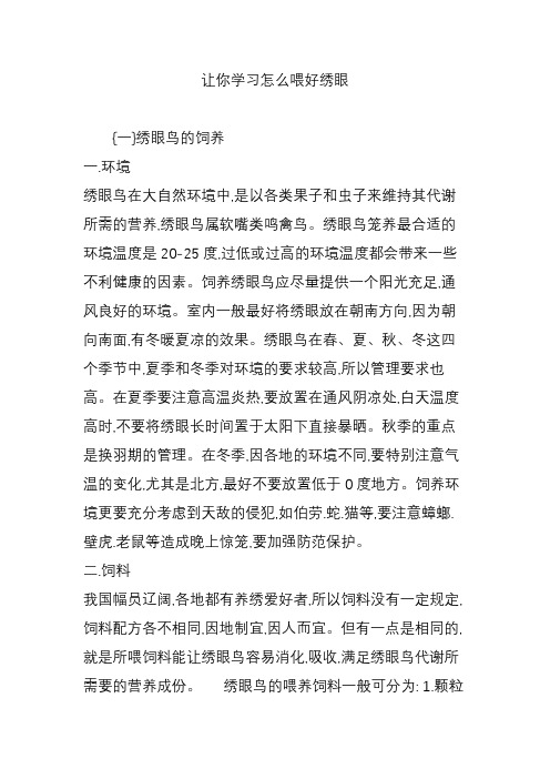 让你学习怎么喂好绣眼