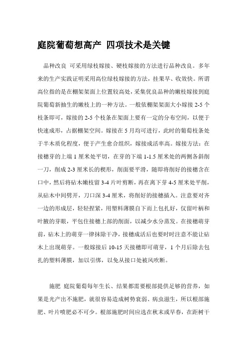 庭院葡萄想高产 四项技术是关键