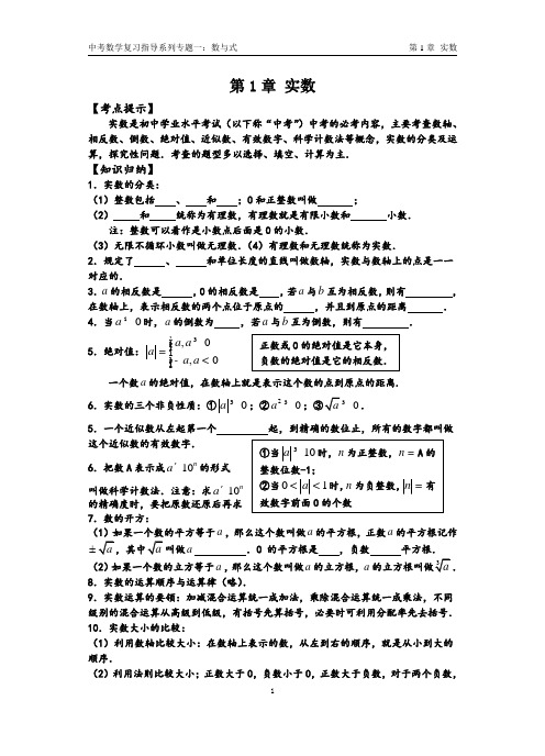 中考数学复习指导系列专题一： 数与式