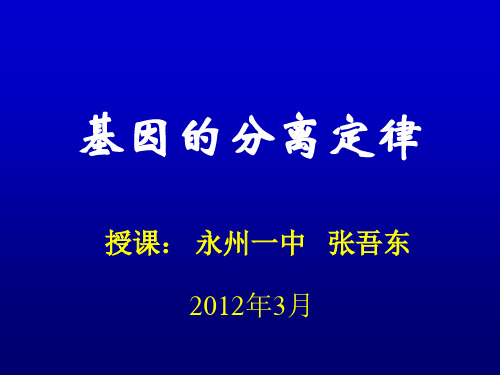 分离规律(公开课课件]