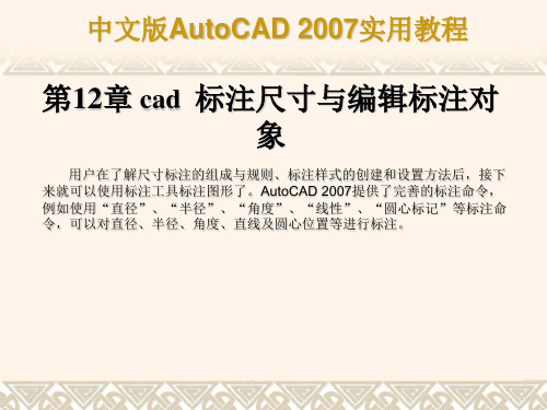 第12章cad标注尺寸及编辑标注对象