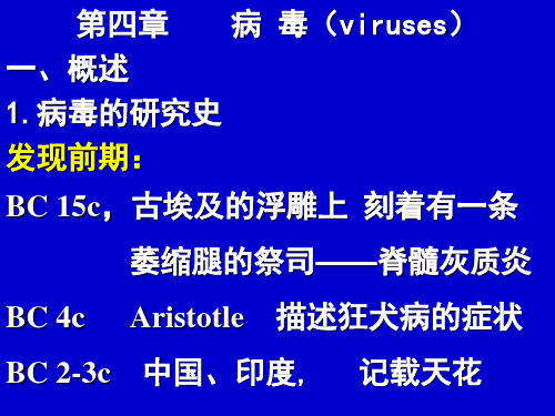 病毒
