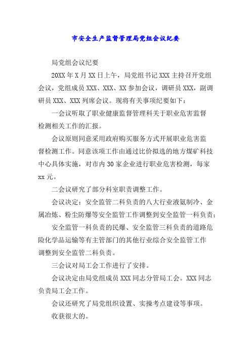 市安全生产监督管理局党组会议纪要