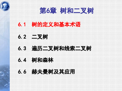 数据结构树和二叉树C
