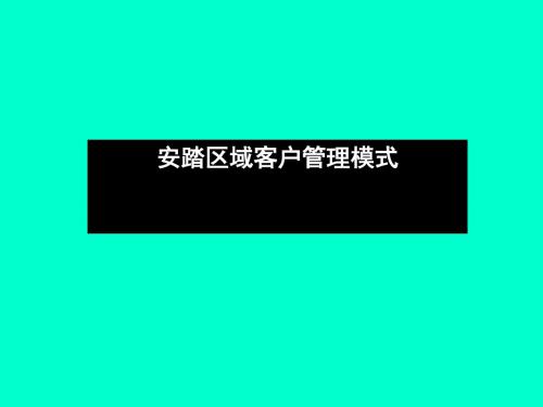 安踏区域客户管理模式