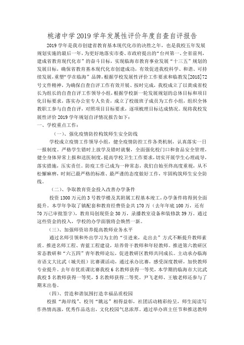 桃渚中学2019学年发展性评价年度自查自评报告