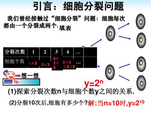 2.2图形的平移(一)课件