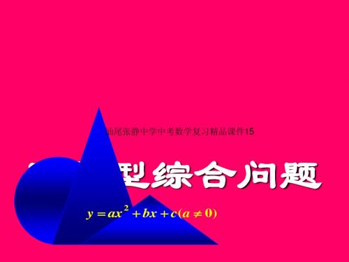 汕尾张静中学中考数学复习精品课件15