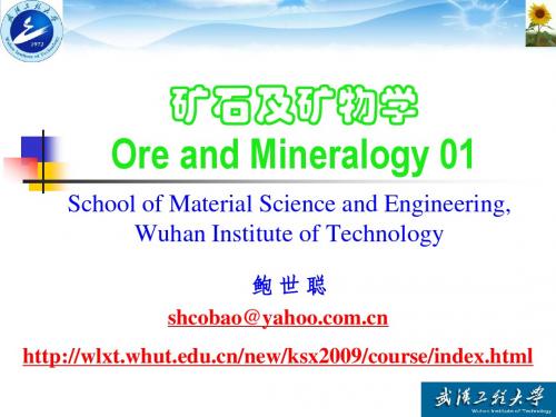 矿石矿物学