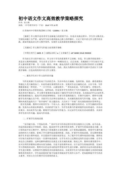 初中语文作文高效教学策略探究