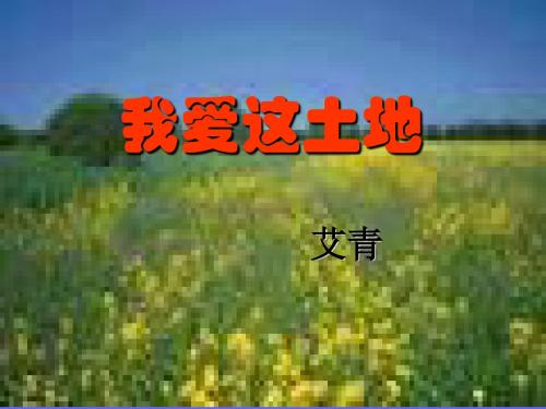 九年级语文诗两首4